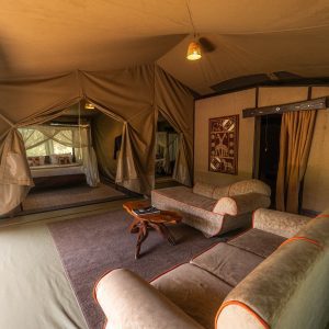 Family Tents