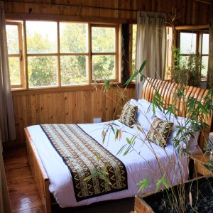 Bird Nest room at Rhino Watch Safari Lodge — unique treetop-style accommodation, Nyeri Kenya