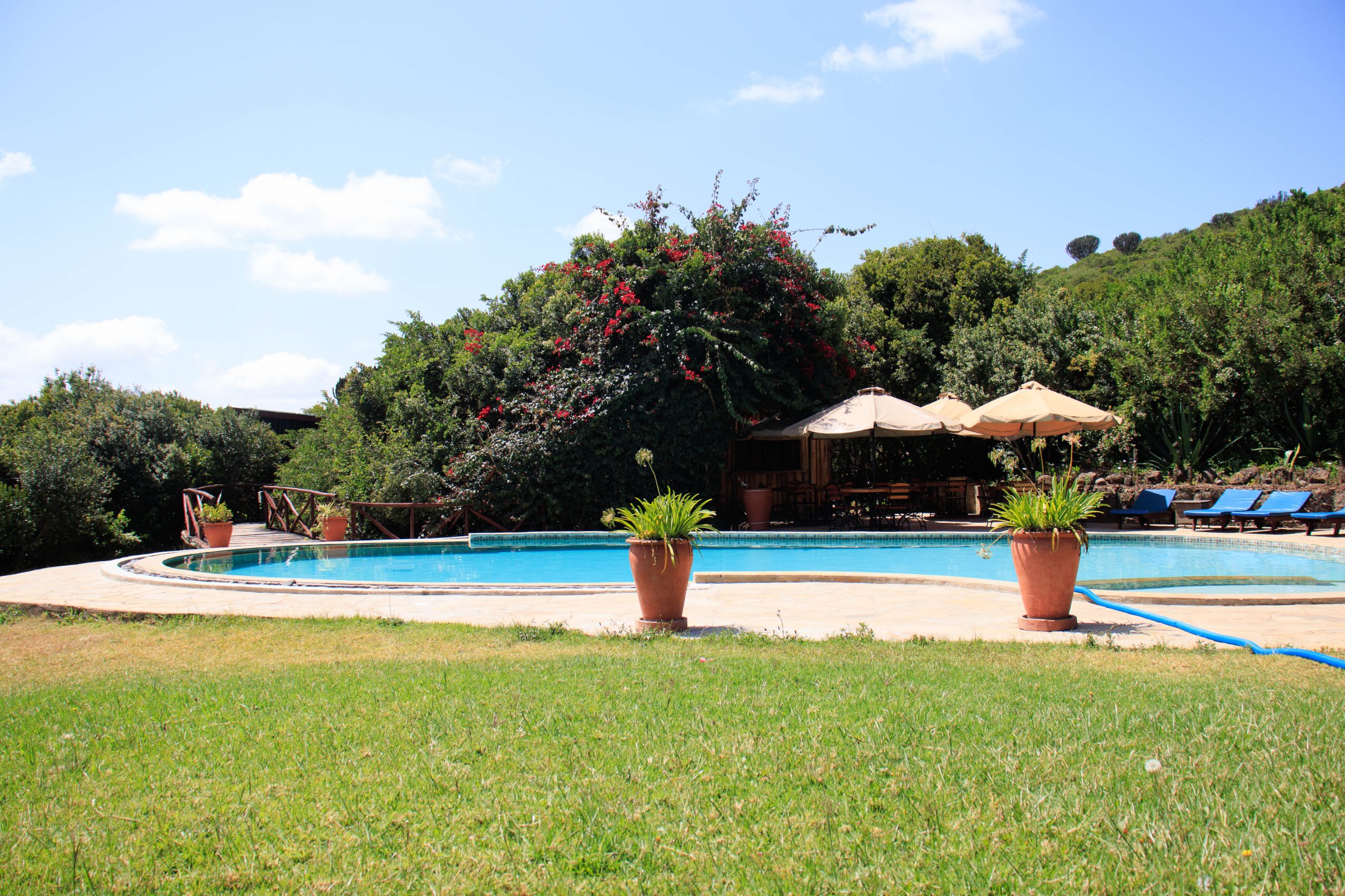 Rhino Watch Safari Lodge exterior