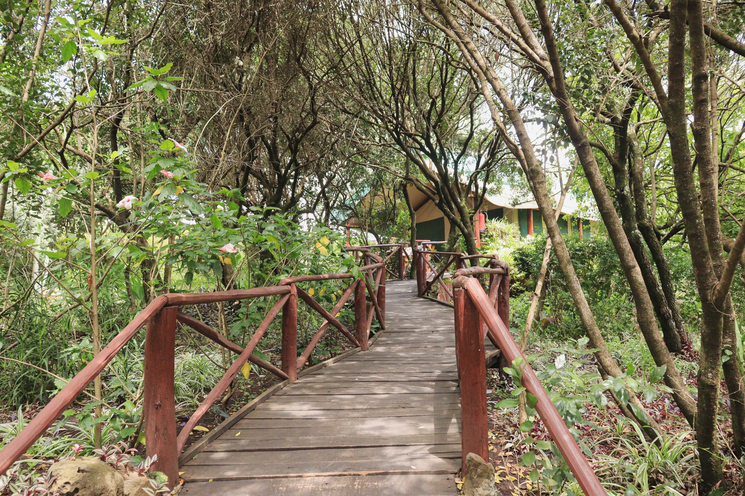 Mt Kenya Climbing