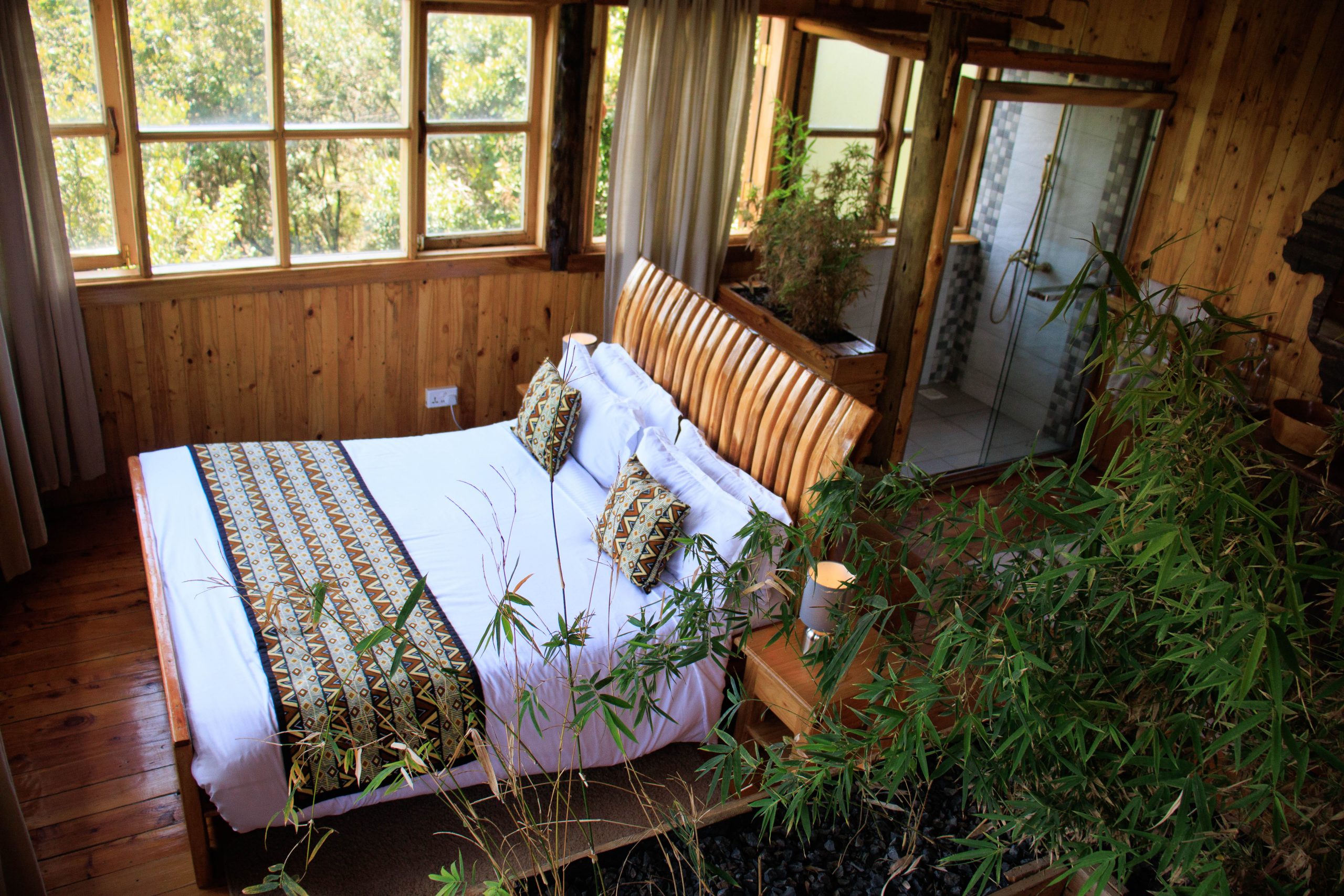 Bird Nest — Rhino Watch Safari Lodge