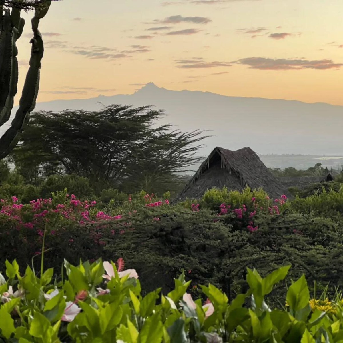 Mt Kenya at sunset from Rhino Watch Safari Lodge